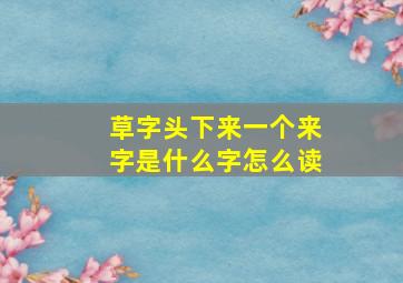 草字头下来一个来字是什么字怎么读