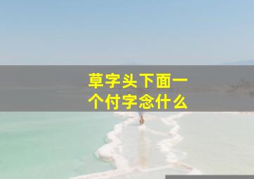 草字头下面一个付字念什么