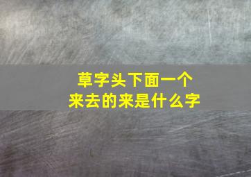 草字头下面一个来去的来是什么字