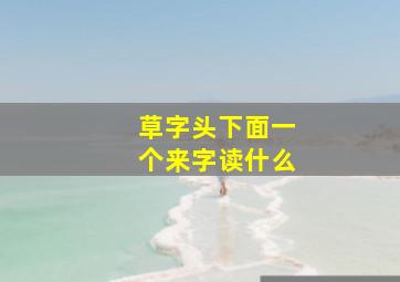 草字头下面一个来字读什么