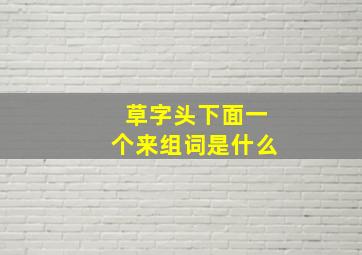 草字头下面一个来组词是什么