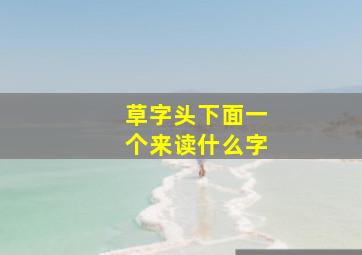 草字头下面一个来读什么字