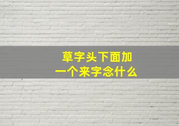 草字头下面加一个来字念什么