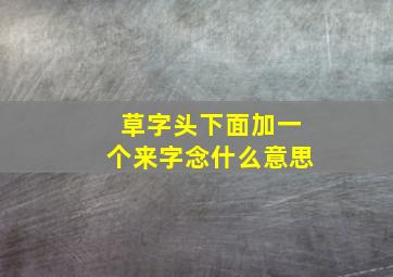 草字头下面加一个来字念什么意思