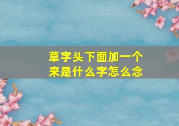 草字头下面加一个来是什么字怎么念