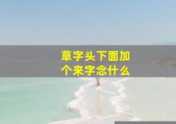 草字头下面加个来字念什么