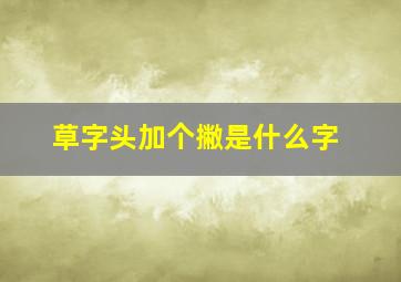 草字头加个撇是什么字