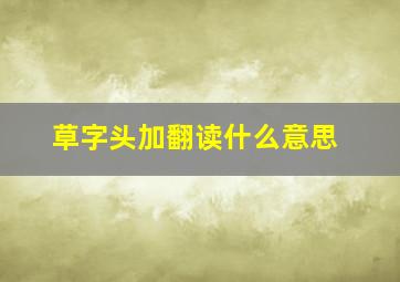 草字头加翻读什么意思