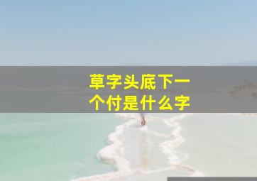 草字头底下一个付是什么字