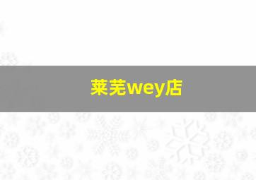 莱芜wey店