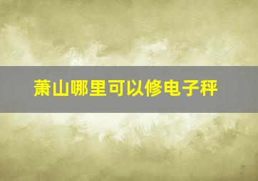 萧山哪里可以修电子秤