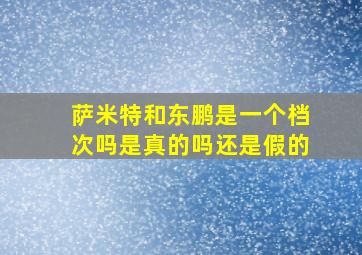 萨米特和东鹏是一个档次吗是真的吗还是假的