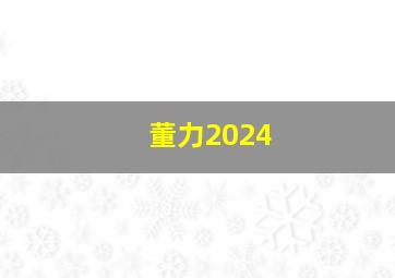 董力2024