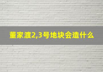 董家渡2,3号地块会造什么