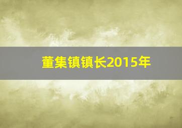 董集镇镇长2015年