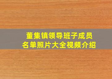 董集镇领导班子成员名单照片大全视频介绍