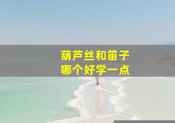 葫芦丝和笛子哪个好学一点