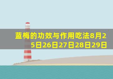 蓝梅的功效与作用吃法8月25日26日27日28日29日