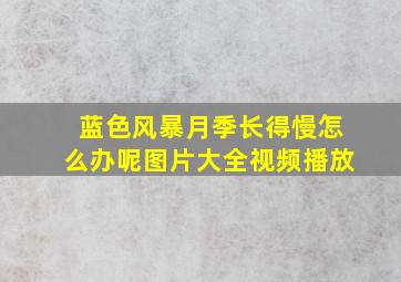 蓝色风暴月季长得慢怎么办呢图片大全视频播放