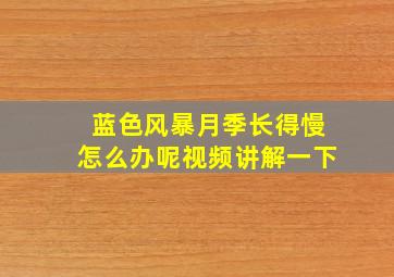 蓝色风暴月季长得慢怎么办呢视频讲解一下