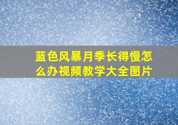 蓝色风暴月季长得慢怎么办视频教学大全图片