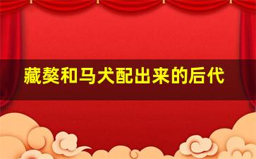 藏獒和马犬配出来的后代