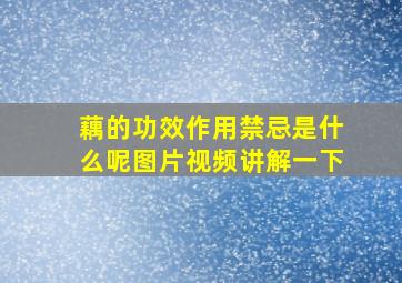 藕的功效作用禁忌是什么呢图片视频讲解一下