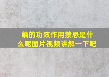 藕的功效作用禁忌是什么呢图片视频讲解一下吧