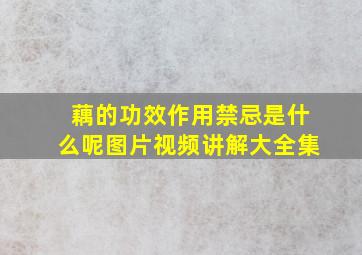 藕的功效作用禁忌是什么呢图片视频讲解大全集