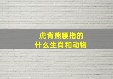 虎背熊腰指的什么生肖和动物