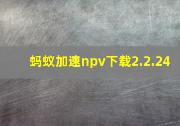 蚂蚁加速npv下载2.2.24