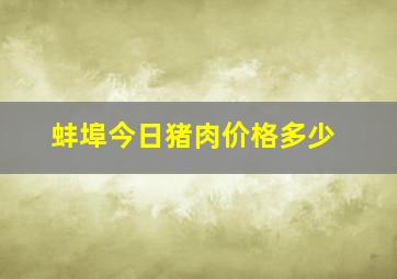 蚌埠今日猪肉价格多少