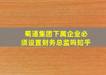 蜀道集团下属企业必须设置财务总监吗知乎