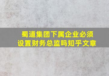 蜀道集团下属企业必须设置财务总监吗知乎文章