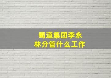 蜀道集团李永林分管什么工作