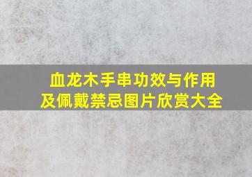 血龙木手串功效与作用及佩戴禁忌图片欣赏大全