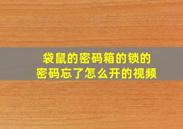 袋鼠的密码箱的锁的密码忘了怎么开的视频