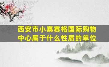 西安市小寨赛格国际购物中心属于什么性质的单位