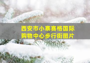 西安市小寨赛格国际购物中心步行街图片