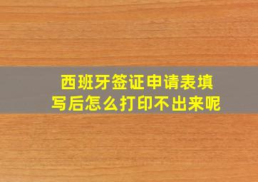 西班牙签证申请表填写后怎么打印不出来呢