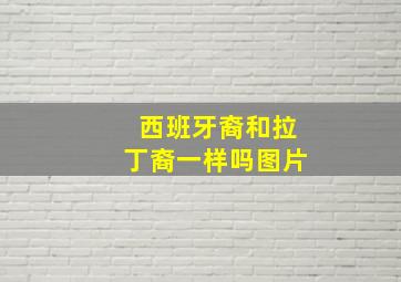 西班牙裔和拉丁裔一样吗图片