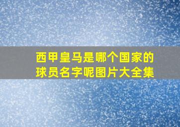 西甲皇马是哪个国家的球员名字呢图片大全集