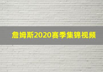 詹姆斯2020赛季集锦视频