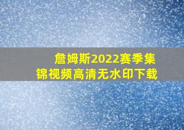 詹姆斯2022赛季集锦视频高清无水印下载