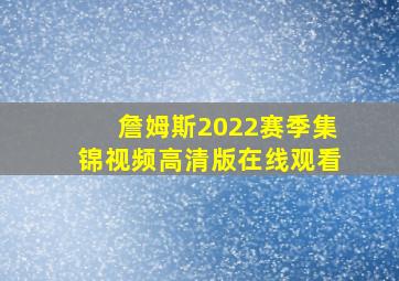 詹姆斯2022赛季集锦视频高清版在线观看