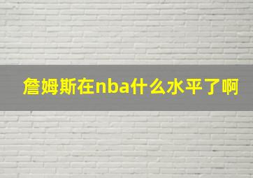 詹姆斯在nba什么水平了啊