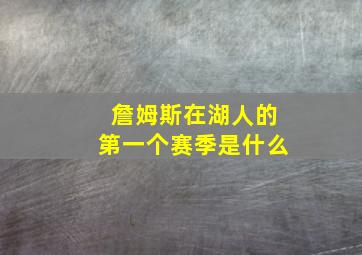 詹姆斯在湖人的第一个赛季是什么