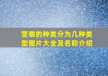 警察的种类分为几种类型图片大全及名称介绍