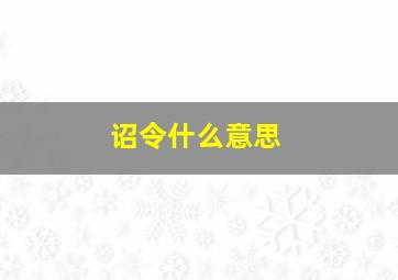 诏令什么意思