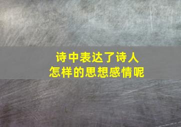 诗中表达了诗人怎样的思想感情呢